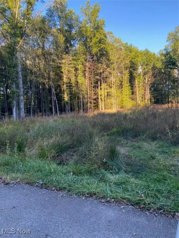 Maplewood AVE, Lake Milton, OH 44429