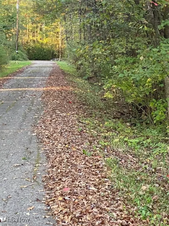 Lake Milton, OH 44429,Maplewood AVE