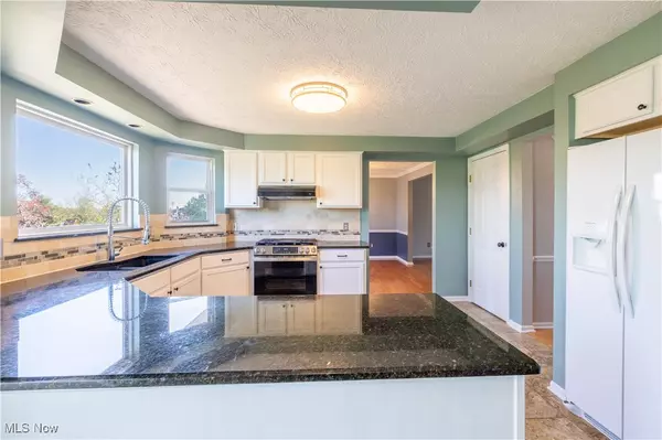 Medina, OH 44256,1107 Alexandria LN