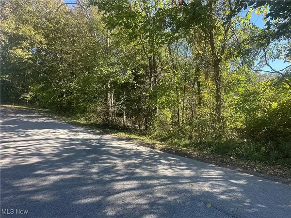 Barnesville, OH 43713,Fairmont AVE