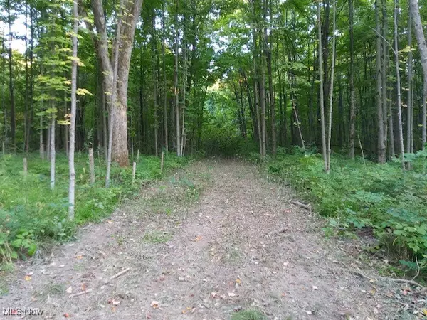 Lodi, OH 44254,8123 Vandemark RD