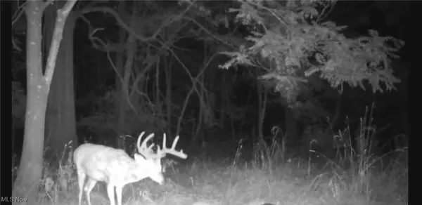 Dellroy, OH 44620,Magnolia RD