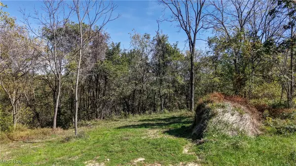 Caldwell, OH 43724,40579 Keithtown RD