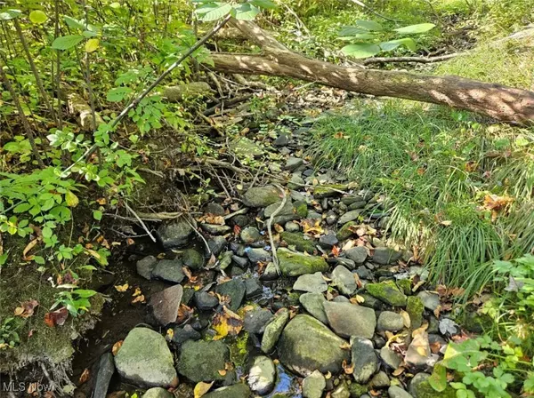 Chardon, OH 44024,14700 Rock Creek RD