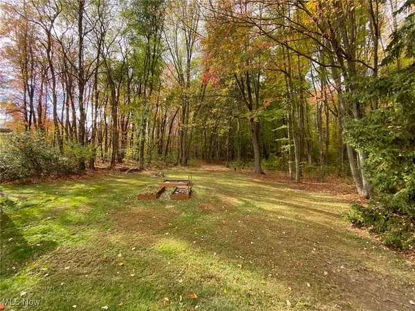 Painesville, OH 44077,6132 Paine RD