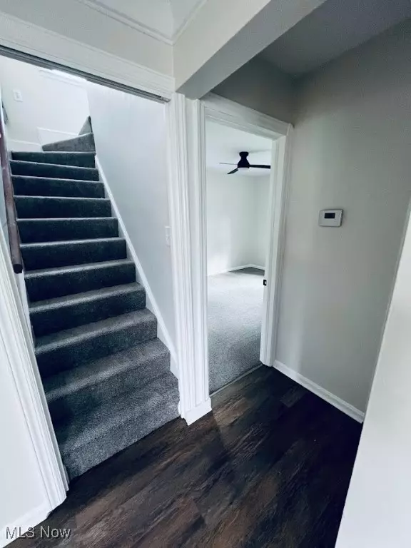 Cleveland, OH 44135,4349 W 132nd ST