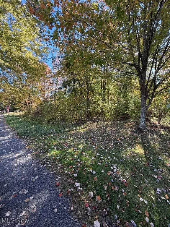 Andover, OH 44003,Walnut ST