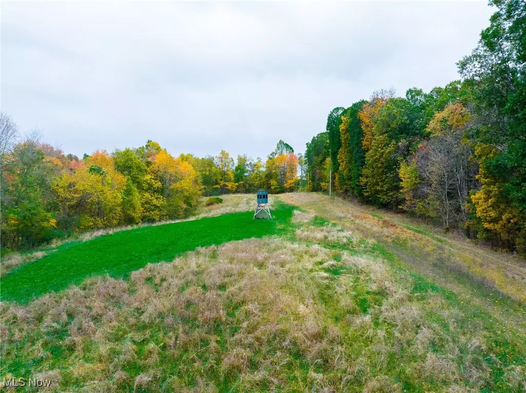 Newcomerstown, OH 43832,6400 Kings Ridge RD