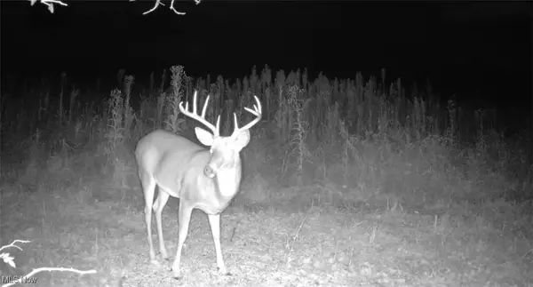 Kensington, OH 44427,Emerick RD