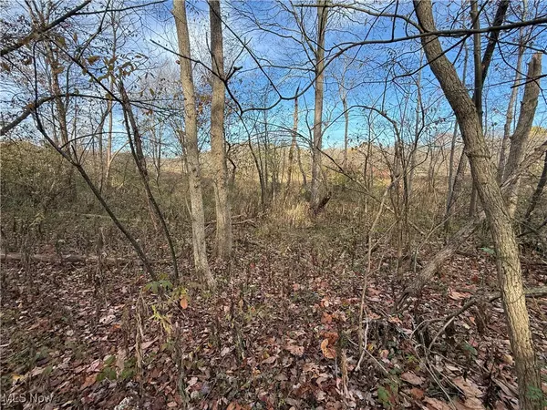 Jewett, OH 43986,Jewett Scio RD