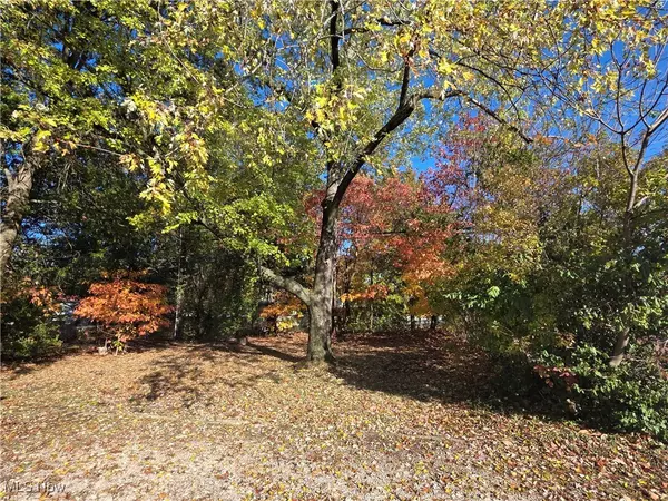 Cuyahoga Falls, OH 44221,2100 Delmore ST