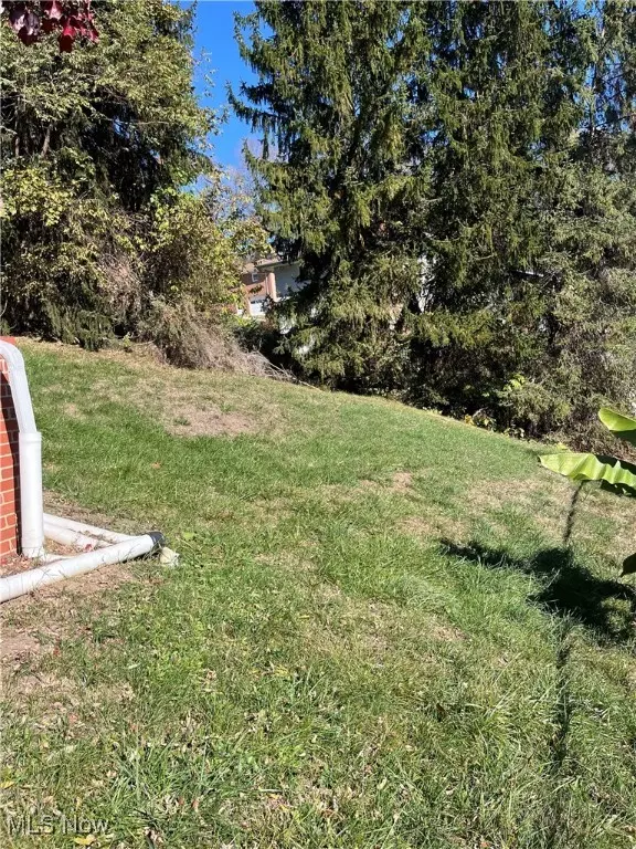 Martins Ferry, OH 43935,Delia AVE