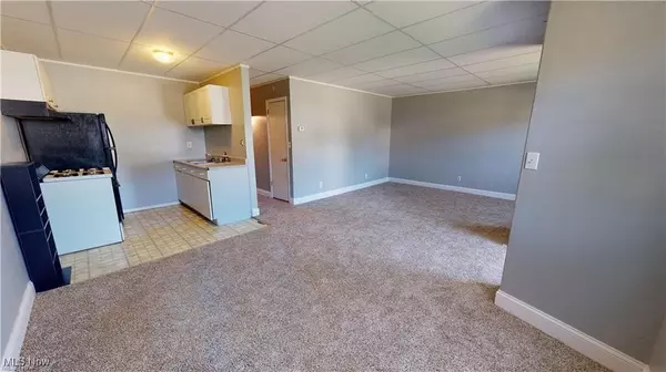 Fairport Harbor, OH 44077,420 2nd ST