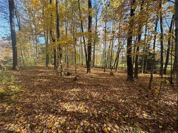 Mantua, OH 44255,Infirmary RD