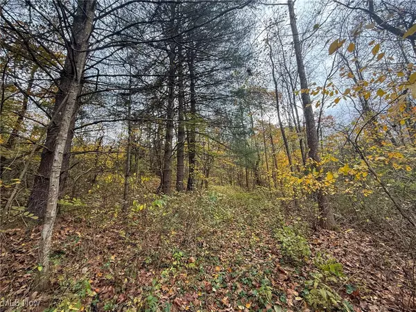 Albany, OH 45710,Pearl Wood Rd