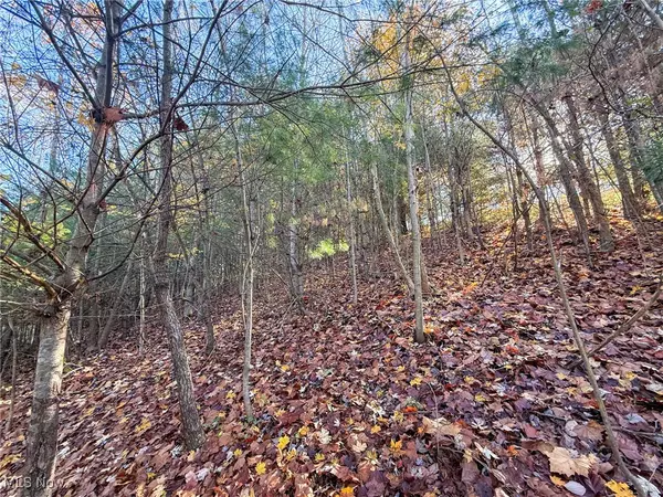 Bremen, OH 43111,Schmeltzer Rd