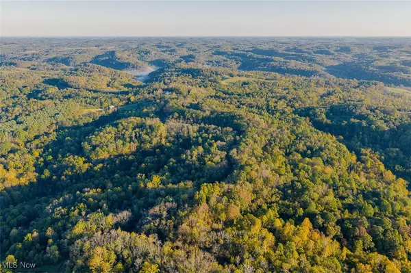 Dexter City, OH 45727,21995 Harrons Ridge RD