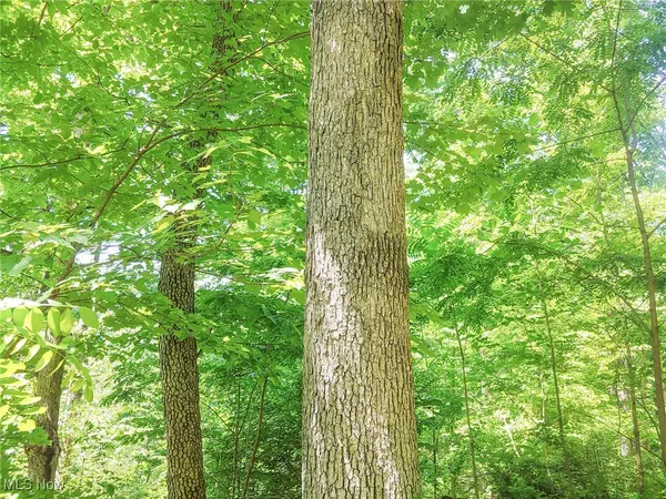 Marietta, OH 45750,Lot 11 Moss Run RD