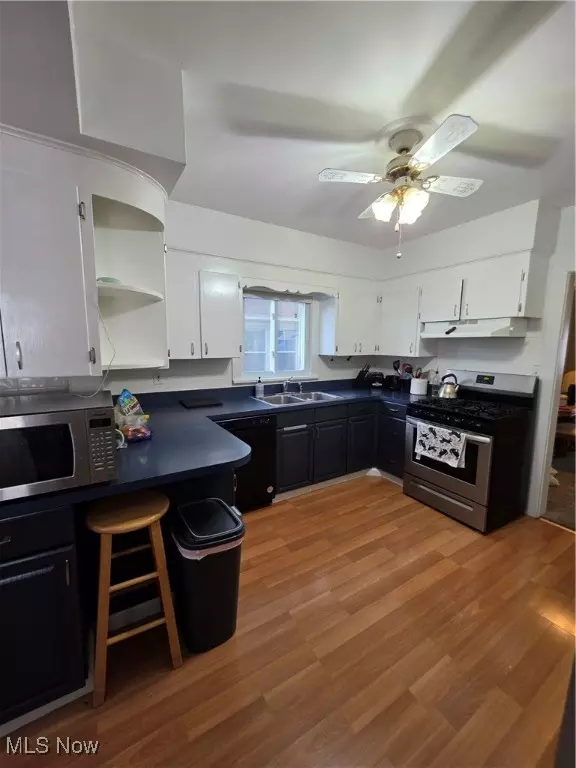 Cleveland, OH 44111,17219 Dartmouth AVE