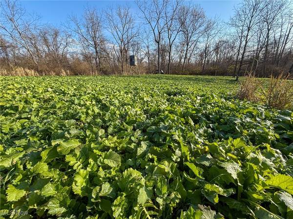 0 Homestead, New Concord, OH 43762