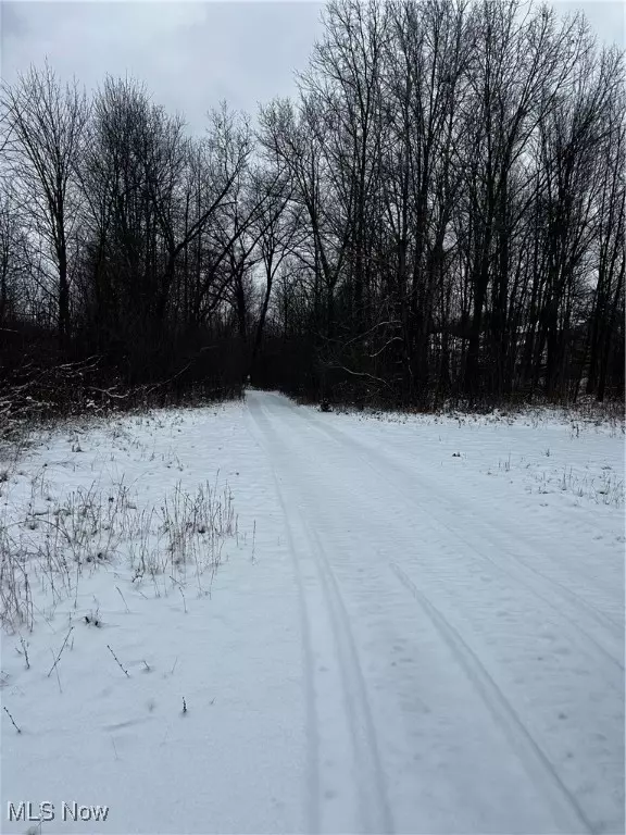 3047 Cannon RD, Twinsburg, OH 44087