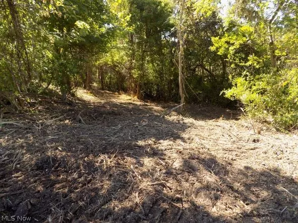 Bridgeport, OH 43912,0 Maple DR