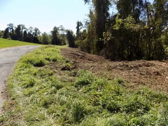 Bridgeport, OH 43912,0 Maple DR