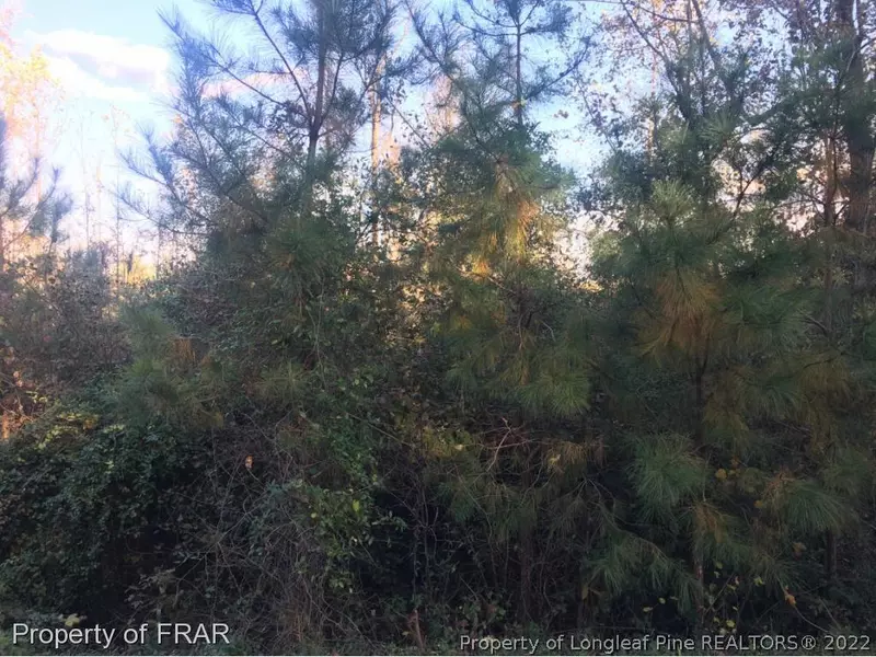 TBD Sneed RD, Eagle Springs, NC 27242