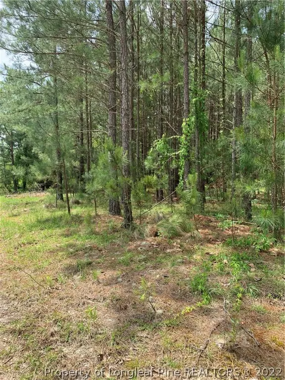 Bunnlevel, NC 28323,1087 Loop RD