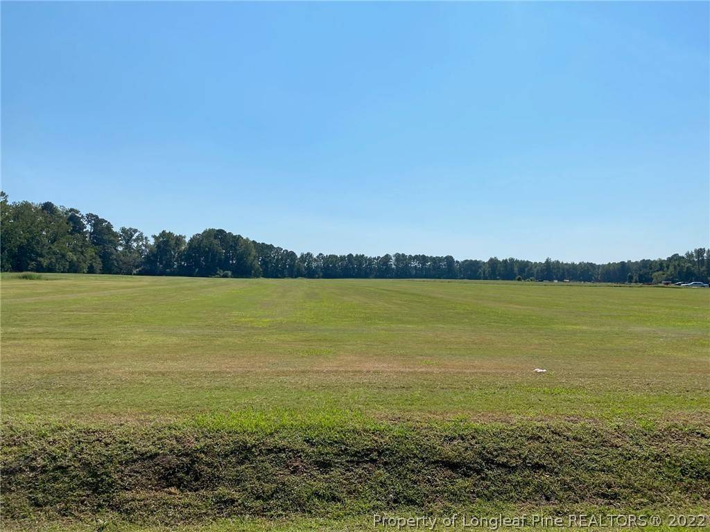 TBD Lloyd RD, Council, NC 28434