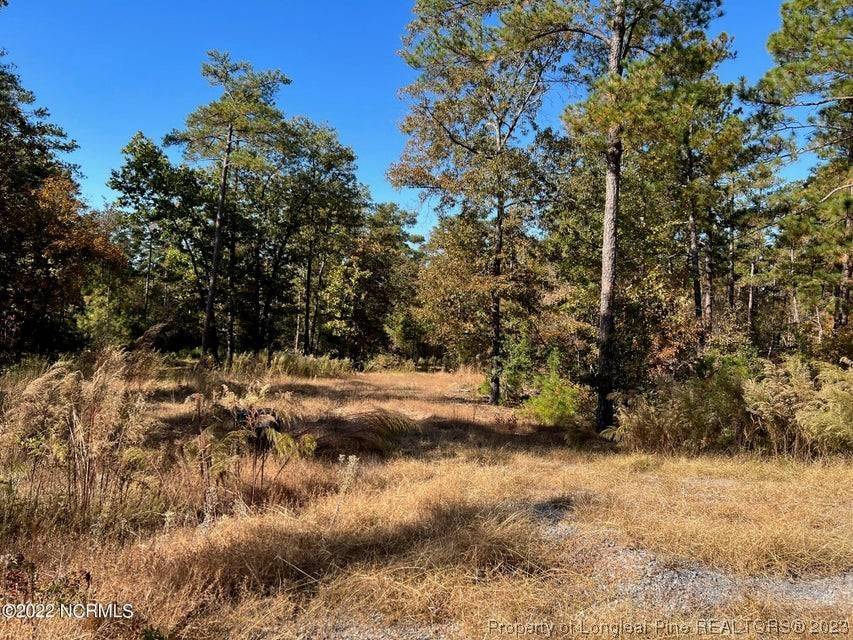 555 Grande Pines, Jackson Springs, NC 27281