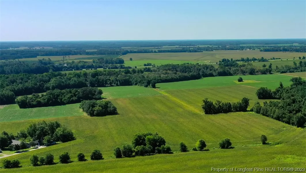 0 Cedar ST, Rowland, NC 28383