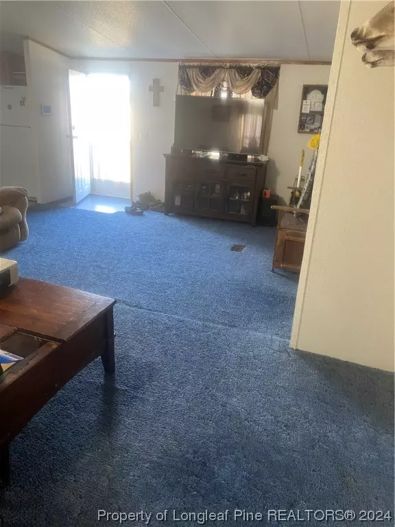 Rowland, NC 28383,4434 Elrod RD