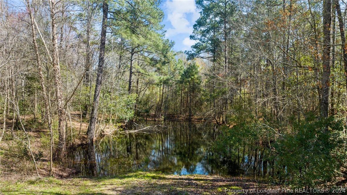 7255 Fishtail RD, Stedman, NC 28391