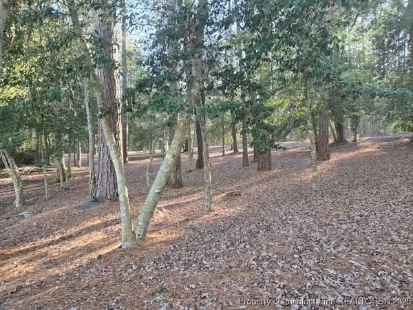 Vass, NC 28394,877 Elderberry DR