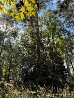 Southern Pines, NC 28387,TBD Bethesda RD