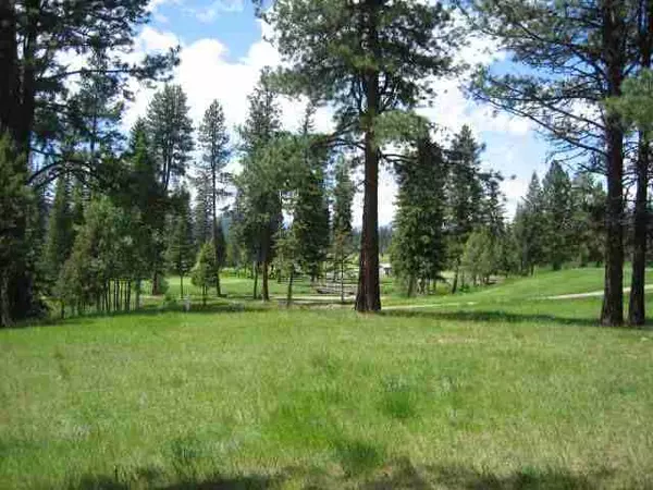 Seeley Lake, MT 59868,Nhn Golf View DR