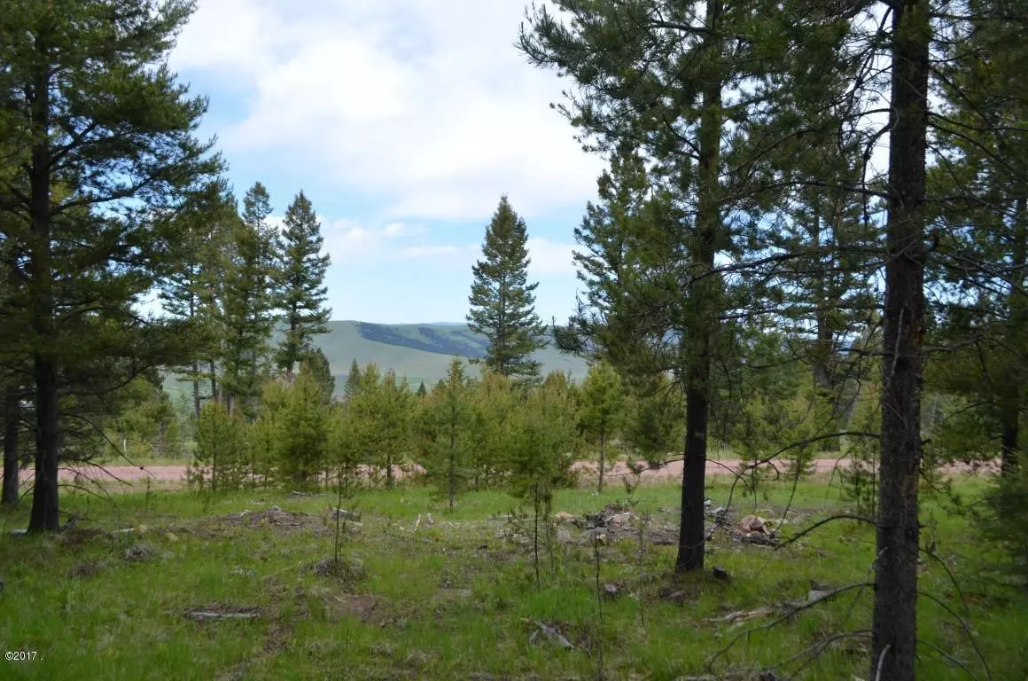 Philipsburg, MT 59858,Lot 31 B Arrowstone Subdivision