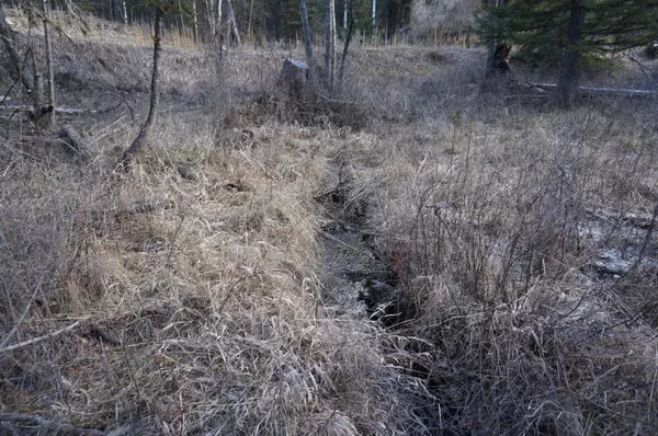 Eureka, MT 59917,Glen Creek LN