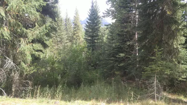 Condon, MT 59826,1252 Remicks RD