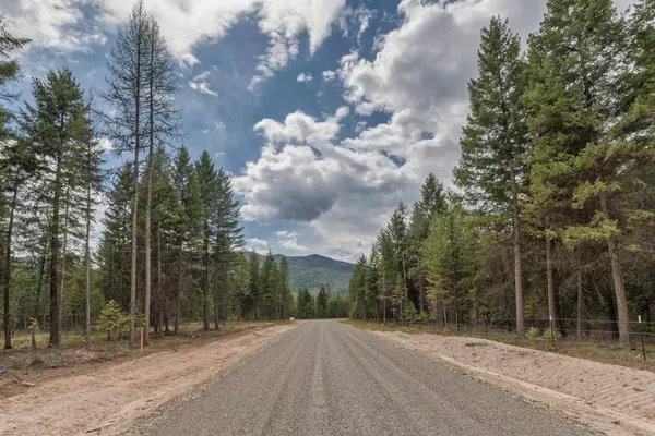 Saint Regis, MT 59866,Lot 4 Sharons WAY