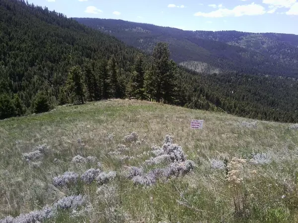 Helmville, MT 59843,Lot 113 Hoover Creek RD