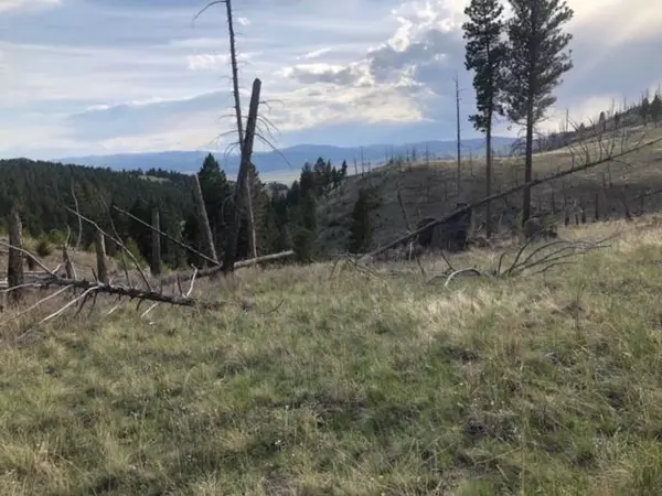 Boulder, MT 59632,Tbd Nursery Creek RD