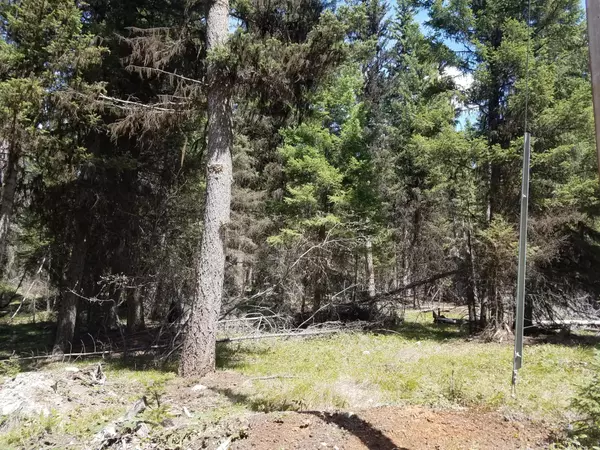 Seeley Lake, MT 59868,160 Sourdough LN