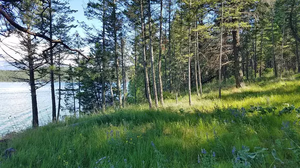 Polson, MT 59860,Nhn White Swan LN