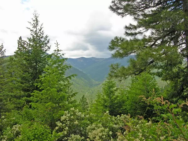 Thompson Falls, MT 59873