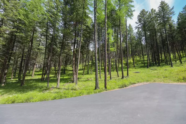 Polson, MT 59860,Nhn Jette Lake TRL