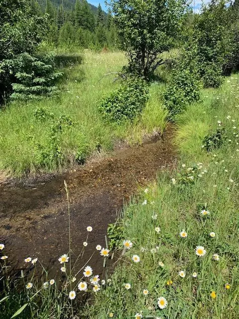 Yaak, MT 59935,Nhn North Fork Yaak River RD