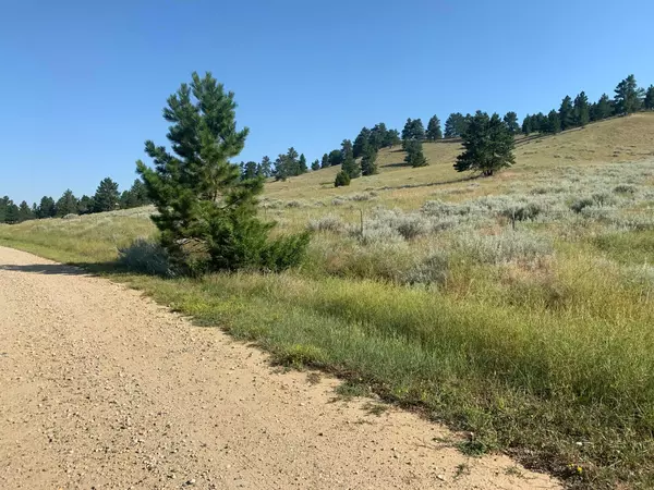 Bridger, MT 59014,19 Eagle Point LN