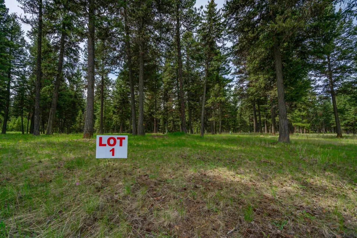 Libby, MT 59923,Lot 1 Beach RD W